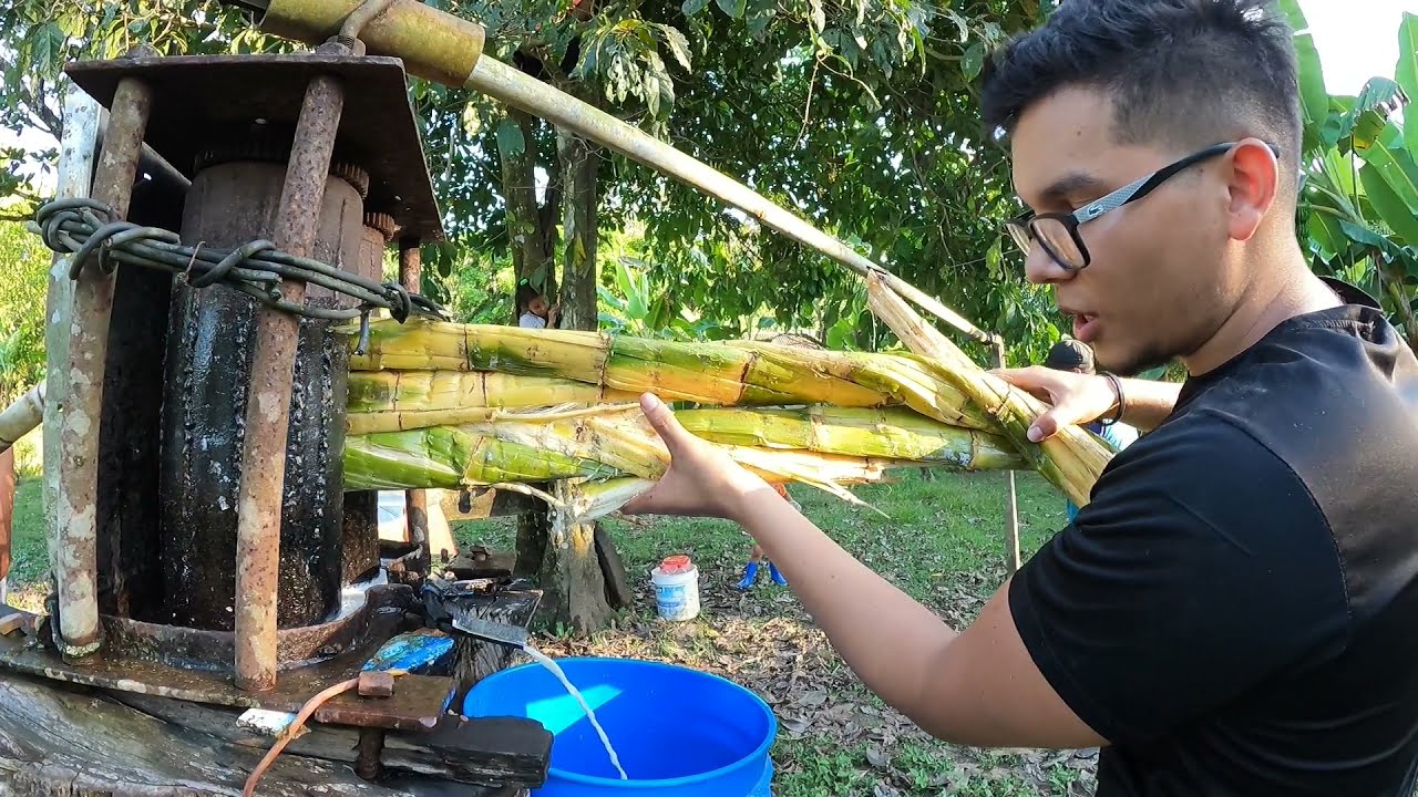 Extracción de jugo de caña - Zona Sur Costa Rica