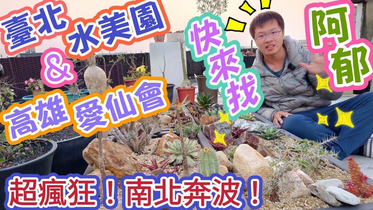 ［來找阿郁］連續兩天南北奔波植物展（預告）#塊根#塊根植物#龍舌蘭#多肉植物#多肉#盆景#盆栽#沙漠玫瑰#花園#植物#植物燈#生活#開箱#療癒#鹿角蕨#觀葉植物#花市#園藝#田尾#教學#花#秘訣#日常