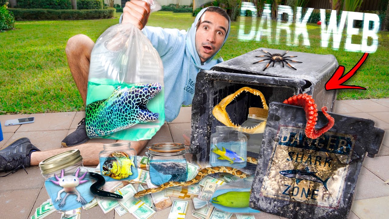 Ordering ABANDONED Fish SAFE Off the DARK WEB... (Finally Opened It)