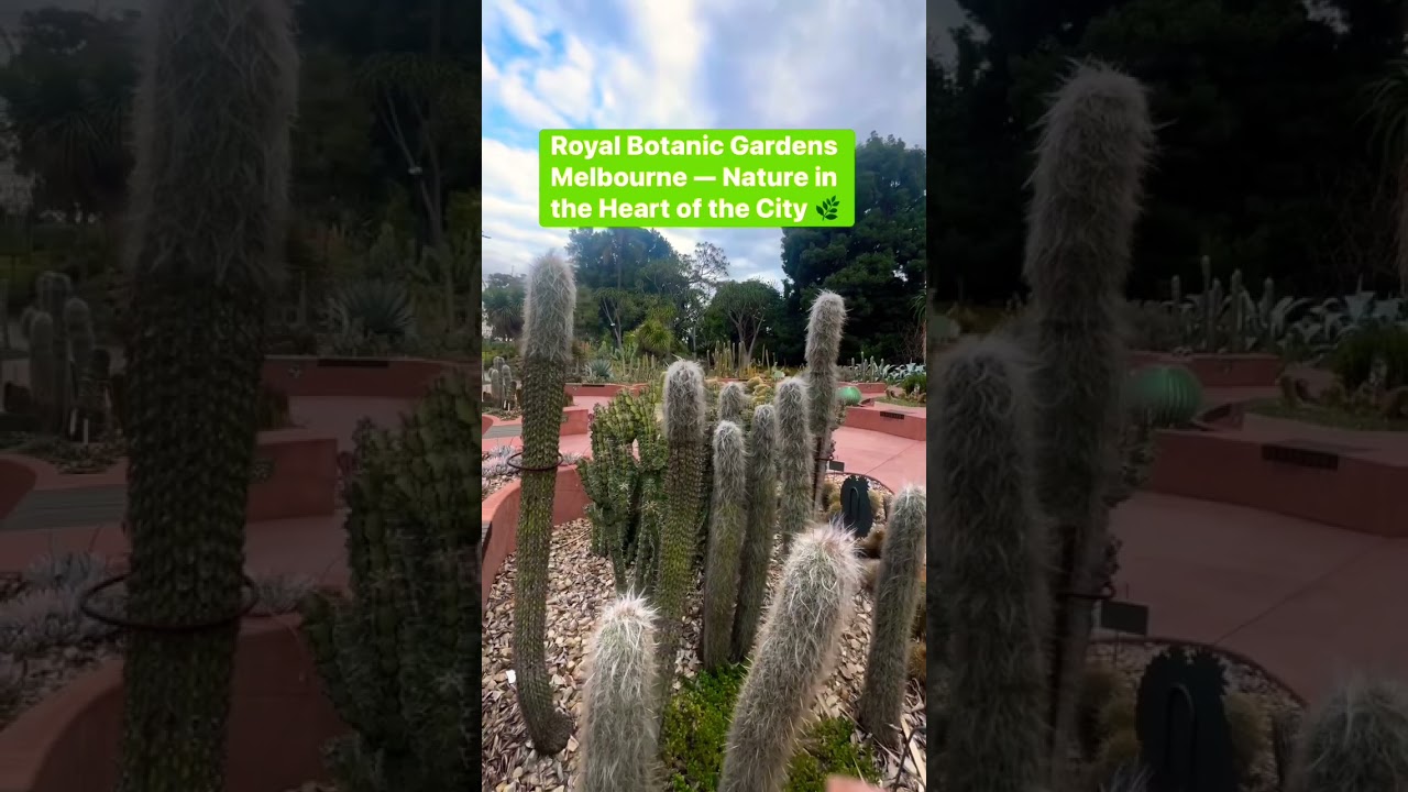 Royal Botanic Gardens Melbourne 