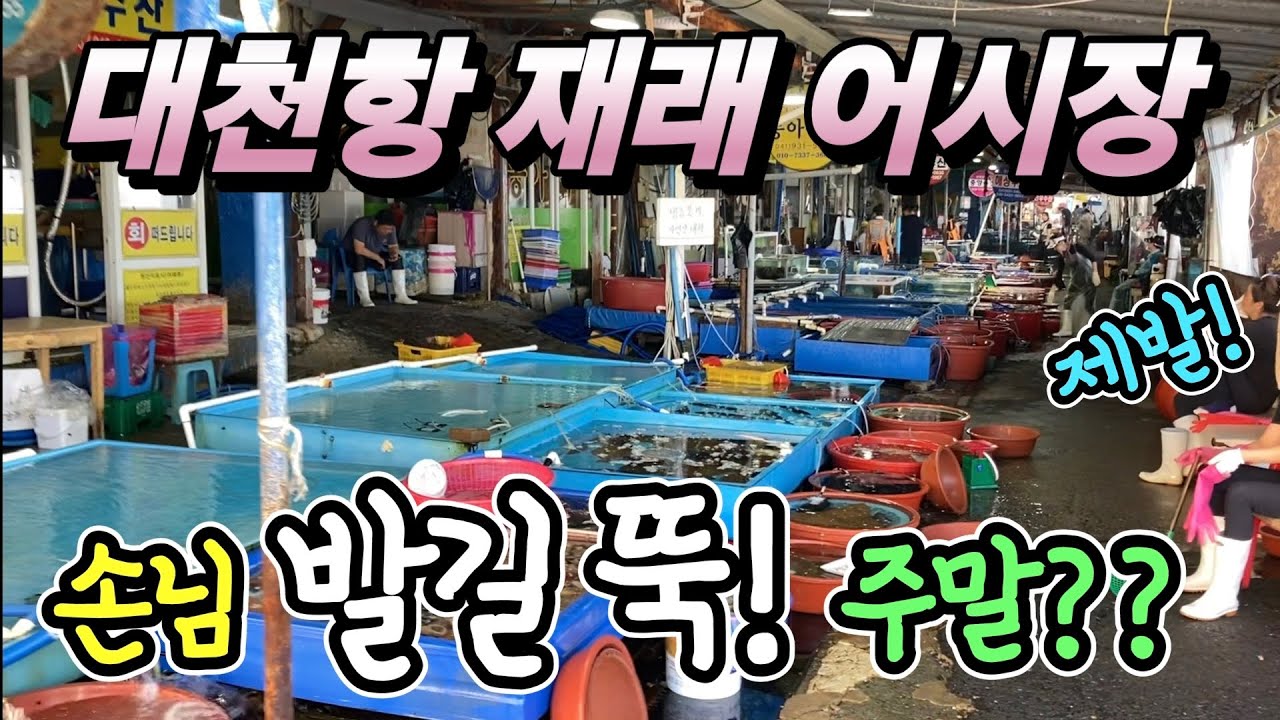 대천항 재래 어시장 갑자기 발길 뚝! 대체 왜? 자연산 횟감 말이돼! 제발 만원만? 참 안타깝네요! korean fish market channel
