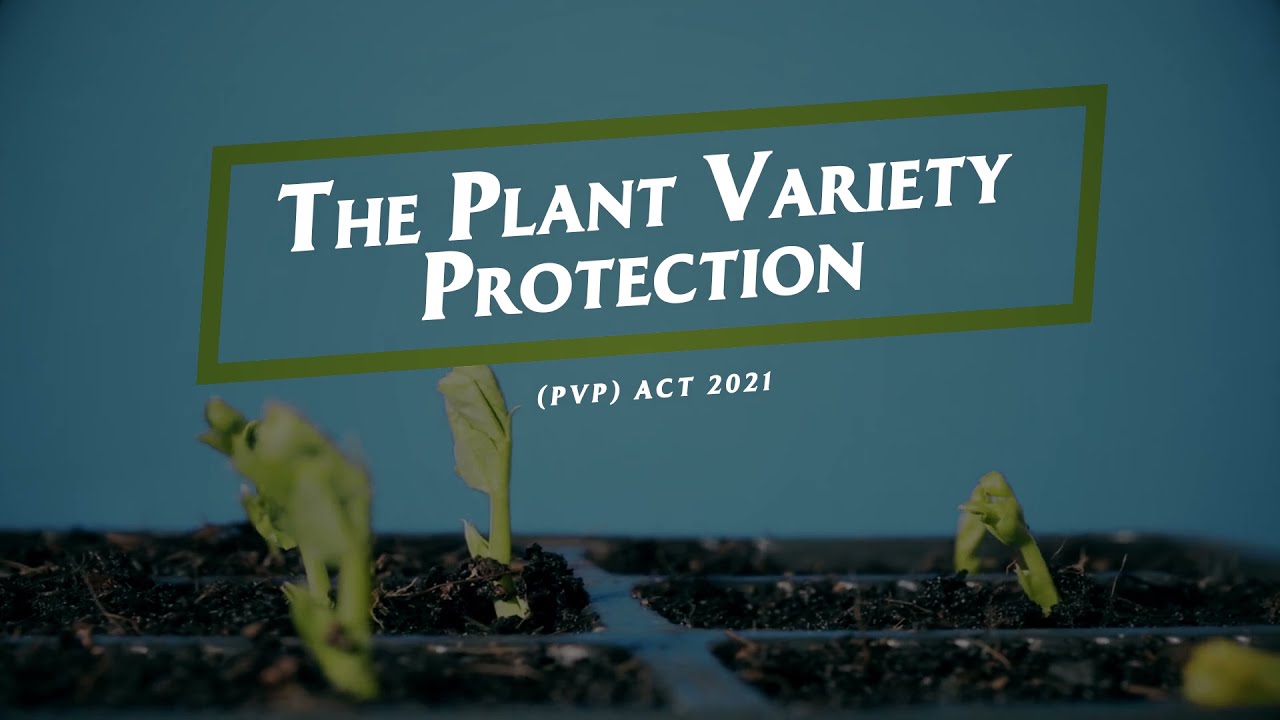 Understanding The Plant Variety Protection Act 2021