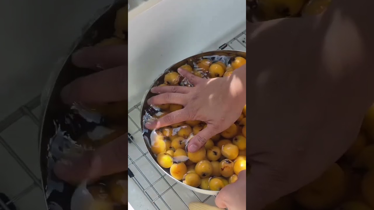 making cheong with loquats #homegrown #fruittree #foodpreservation #kitchengarden #ediblegarden