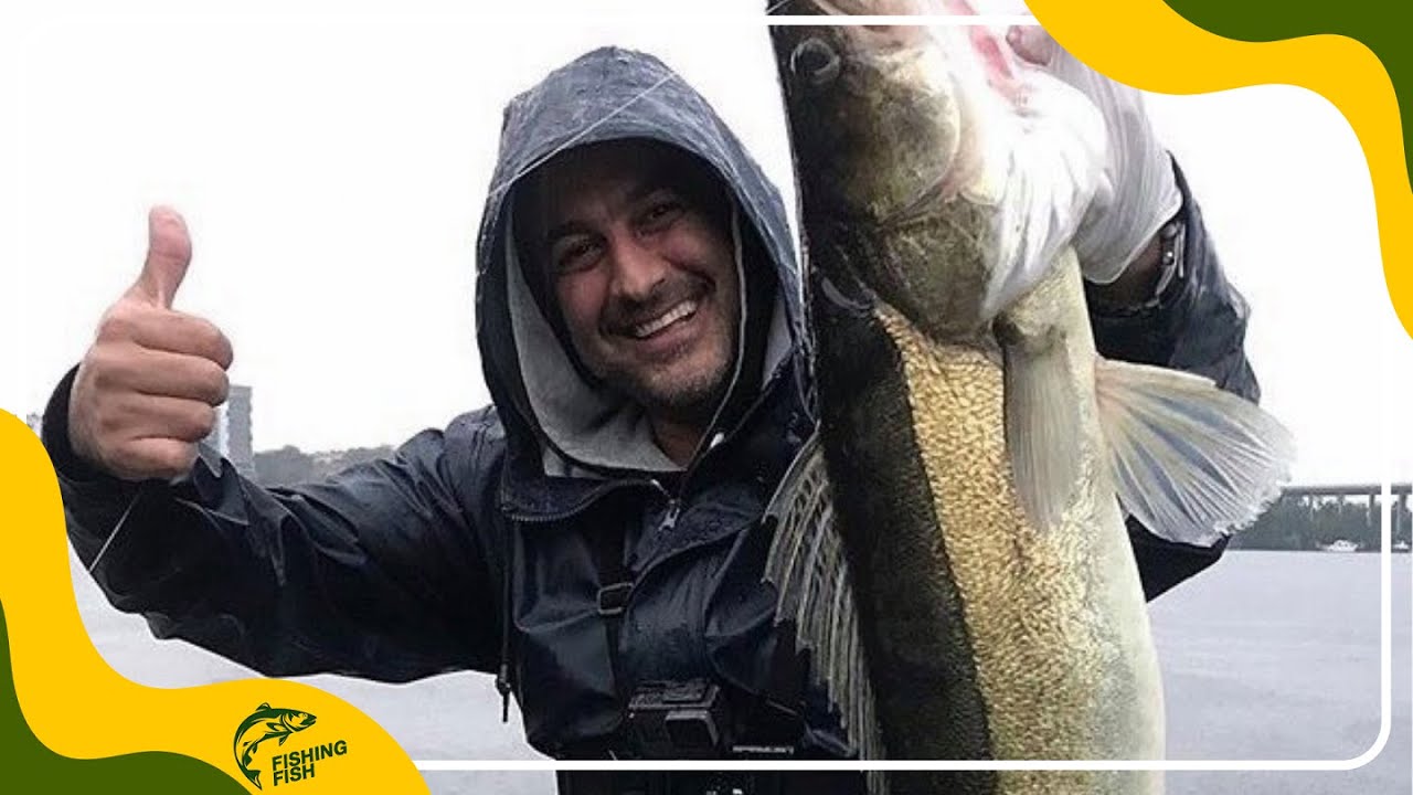 Fishing a 3.5 kg G&ouml;s in Stockholm