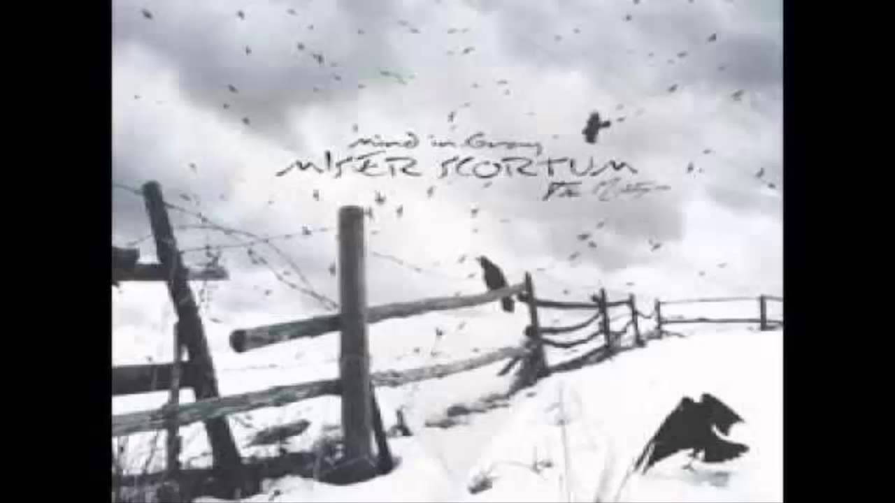 Mind In Gray - Bonus Track [Miser Scortum 10]