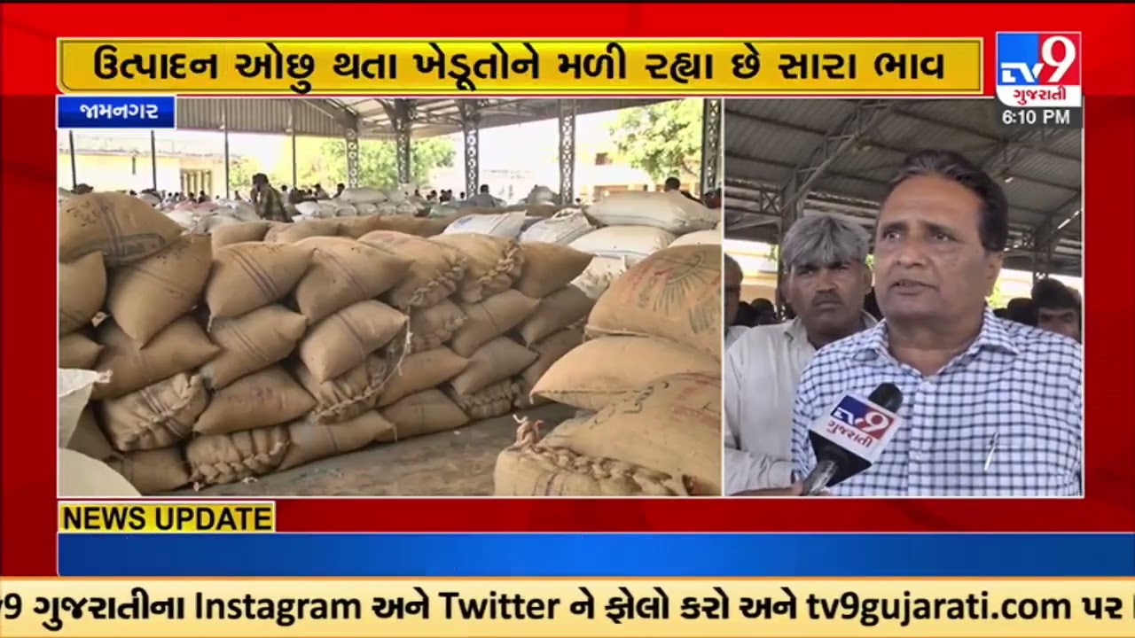 Jeera intake is low compared to last year in Hapa Market Yard of Jamnagar due to unseasonal rains