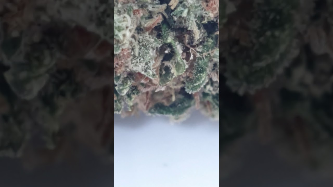 CBD charlottes web