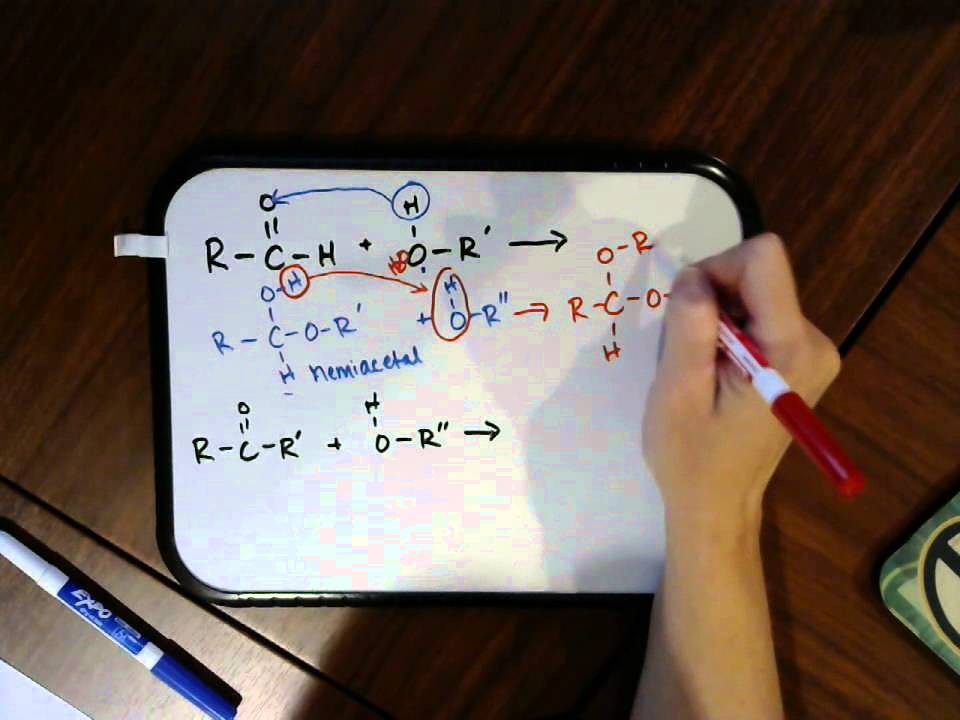 Formation of Hemiacetals and Acetals