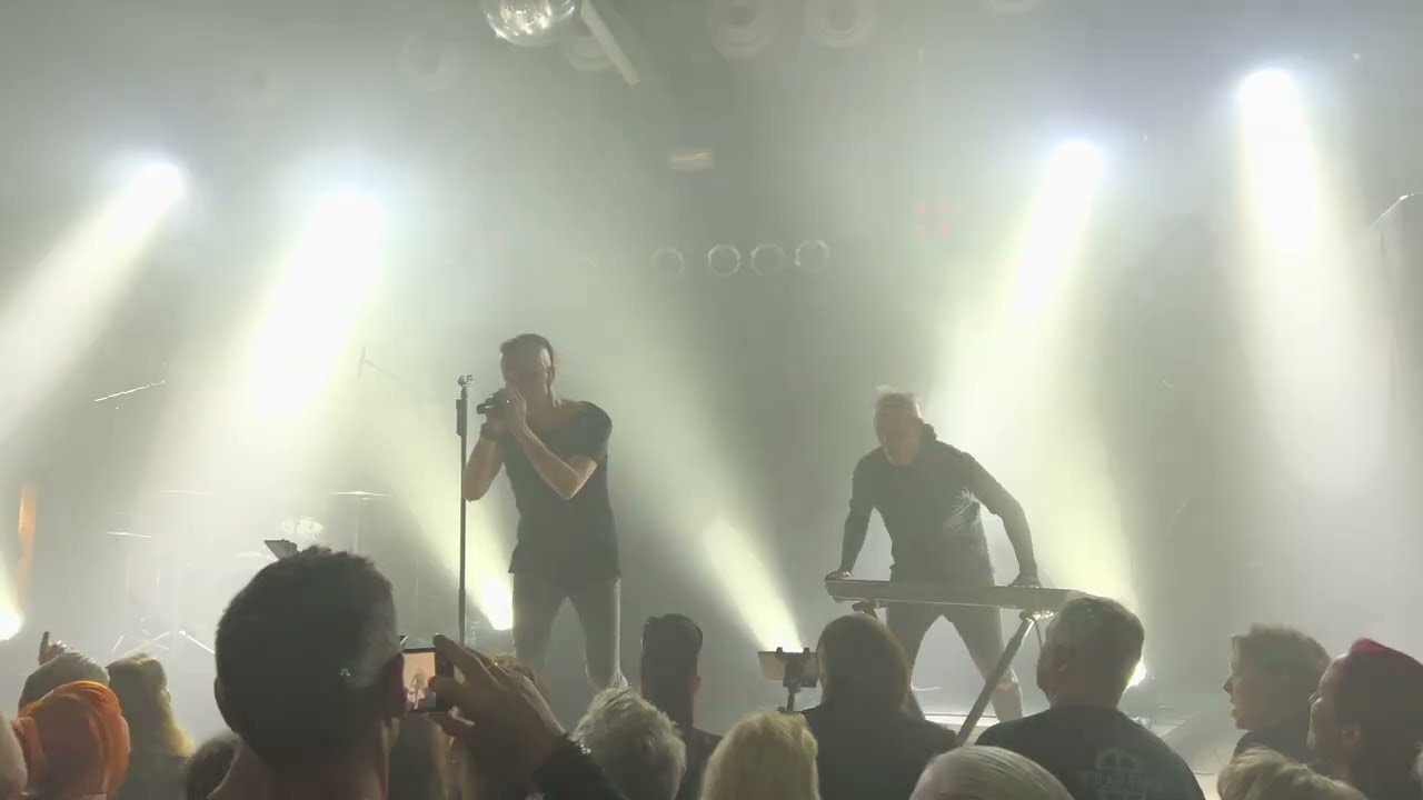 Solar Fake - Parasites (Live in Hannover 2022) [4K]