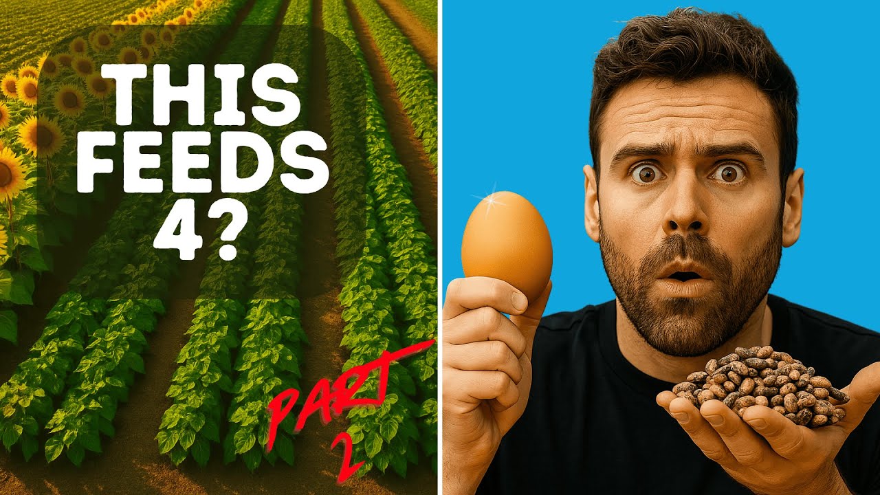 How Much Food to Feed a Family for a YEAR — (Protein) You’ll Be Shocked