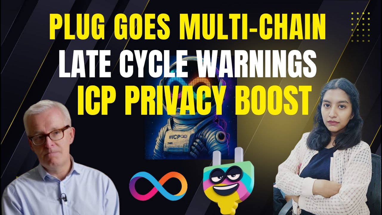 #731: Michael Howell on Liquidity Risks, Plug&rsquo;s Ethereum Expansion & ICP&rsquo;s New Privacy Shield