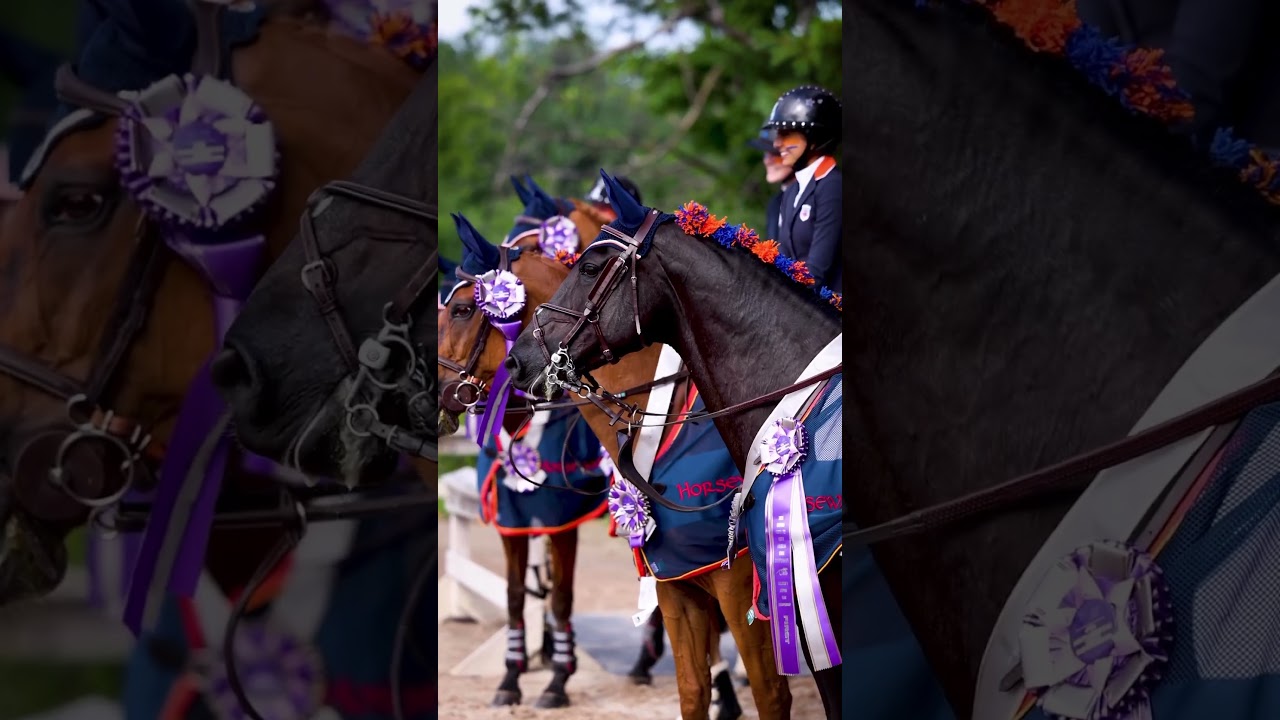 The FEI NAYC Jumping Children Team Champs! #Zone4 #NAYC  #usequestrian