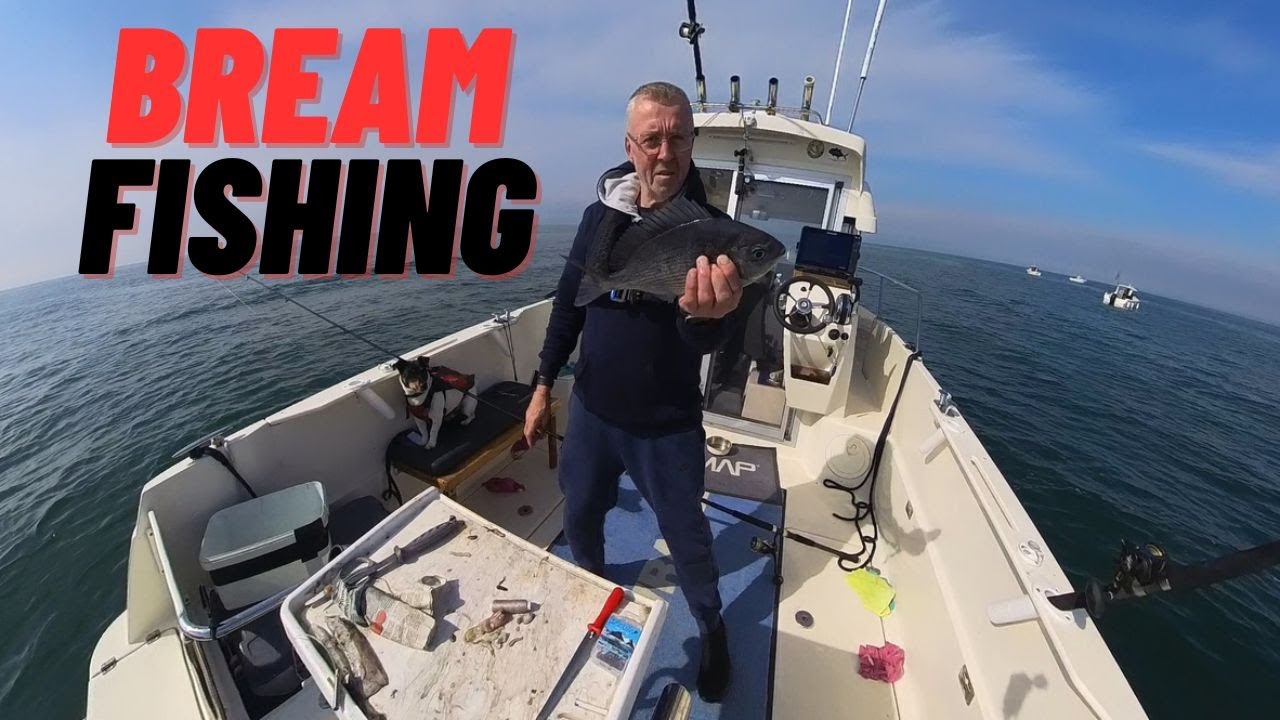 BLACK BREAM FISHING [uk sea fishing]