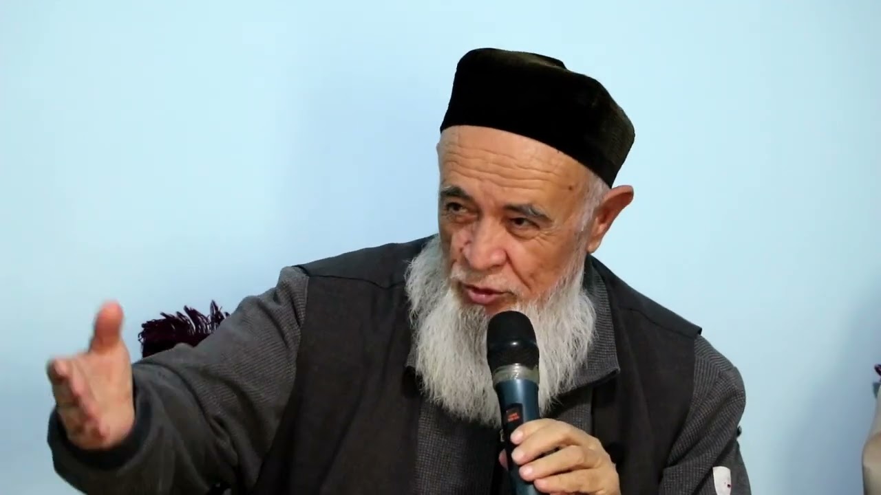 19 ноября 2024 г.
