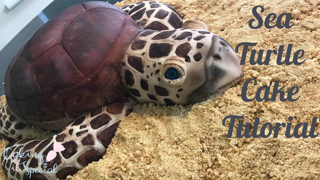 Sea Turtle Cake Tutorial