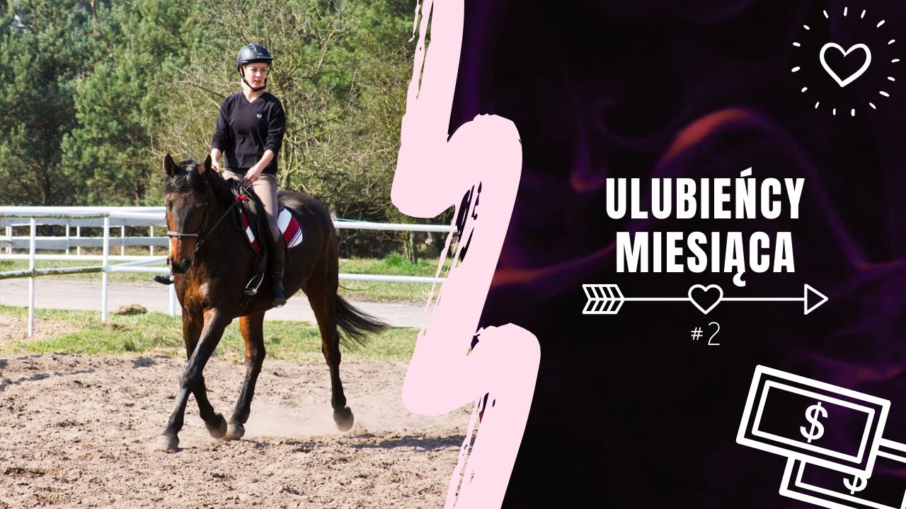 Najlepszy sprzęt dla jeźdźca i konia #2 | ULUBIEŃCY MIESIĄCA horse edition