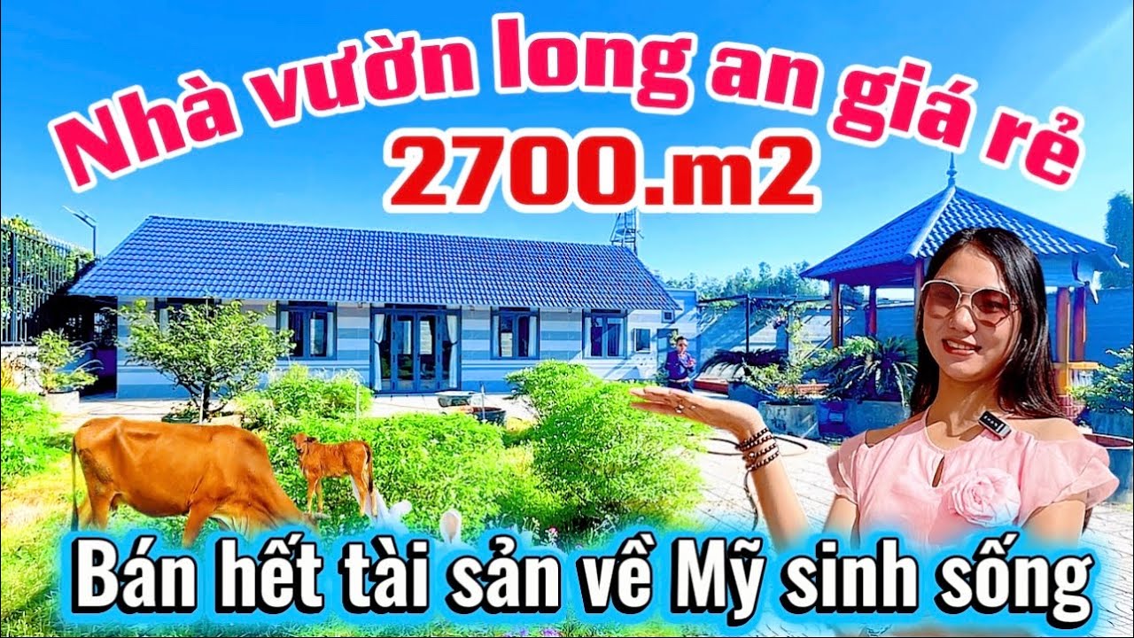 👉 ( _HẠ GIÁ 2.5tỷ_)  THEO VỢ VỀ MỸ BÁN HẾT TÀI SẢN . Quá rộng mặt tiền kinh doanh