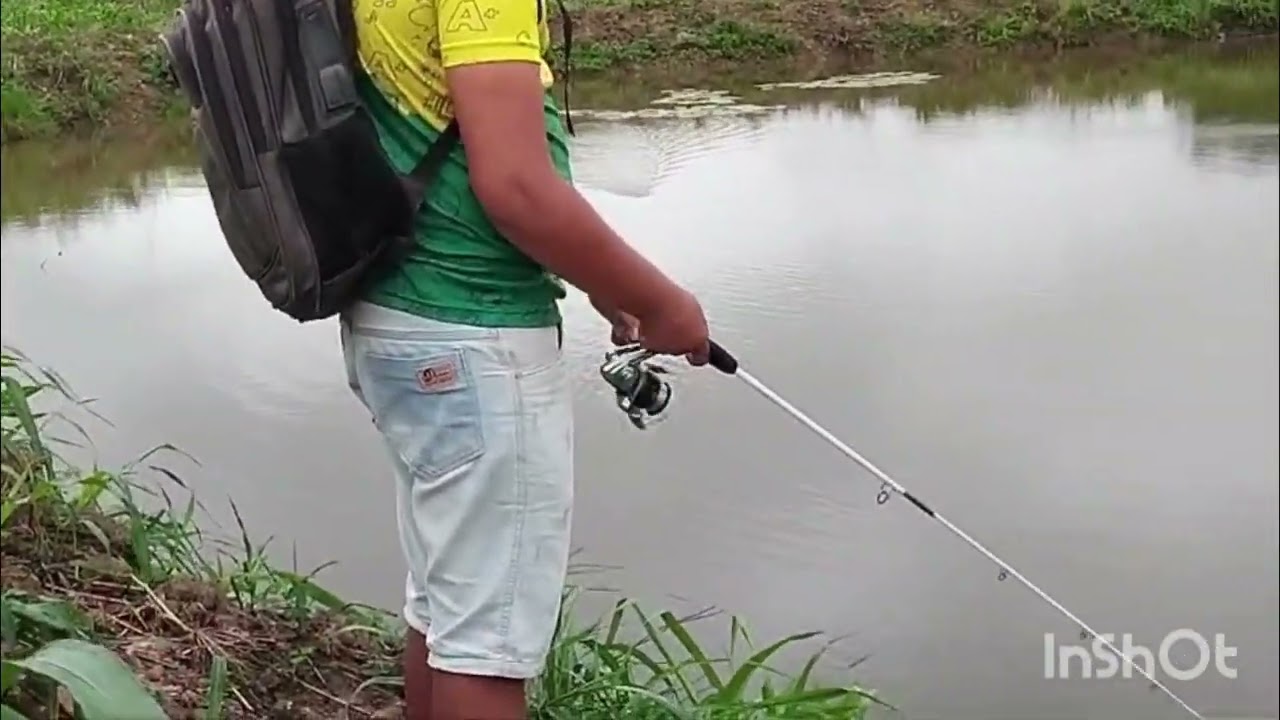Teste da isca popper da china