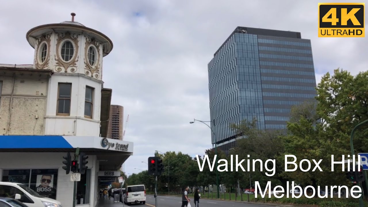 Walking Box Hill | Melbourne Australia
