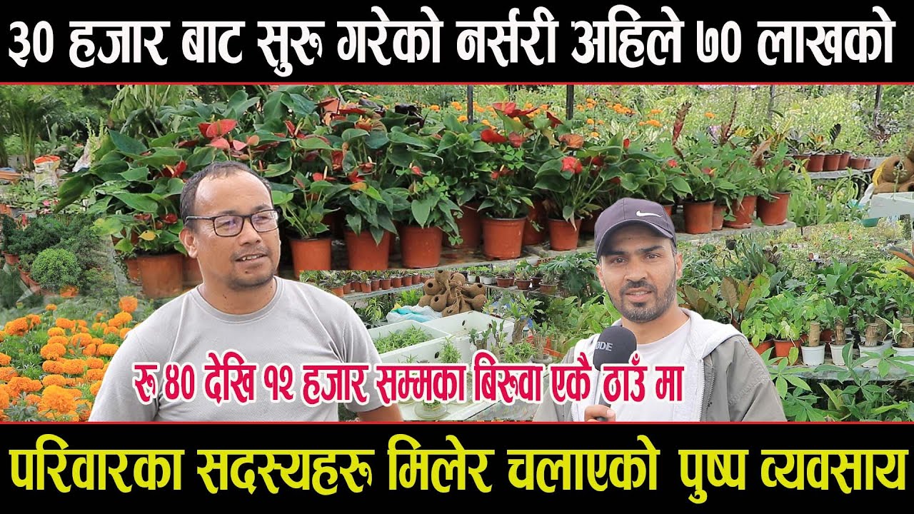 परिवारका सदस्यहरू मिलेर ३० हजारमा सुरु गरेको नर्सरी व्यवसाय अहिले ७० लाख भन्दा माथिकोnursary