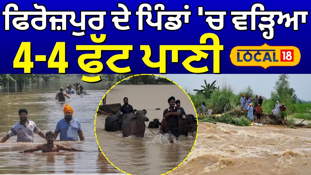 Ferozepur Floods | ਫਿਰੋਜ਼ਪੁਰ ਦੇ ਪਿੰਡਾਂ 'ਚ ਵੜ੍ਹਿਆ 4-4 ਫੁੱਟ ਪਾਣੀ, ਹੜ੍ਹਾਂ ਨੇ ਮਚਾਈ ਤਬਾਹੀ | #local18