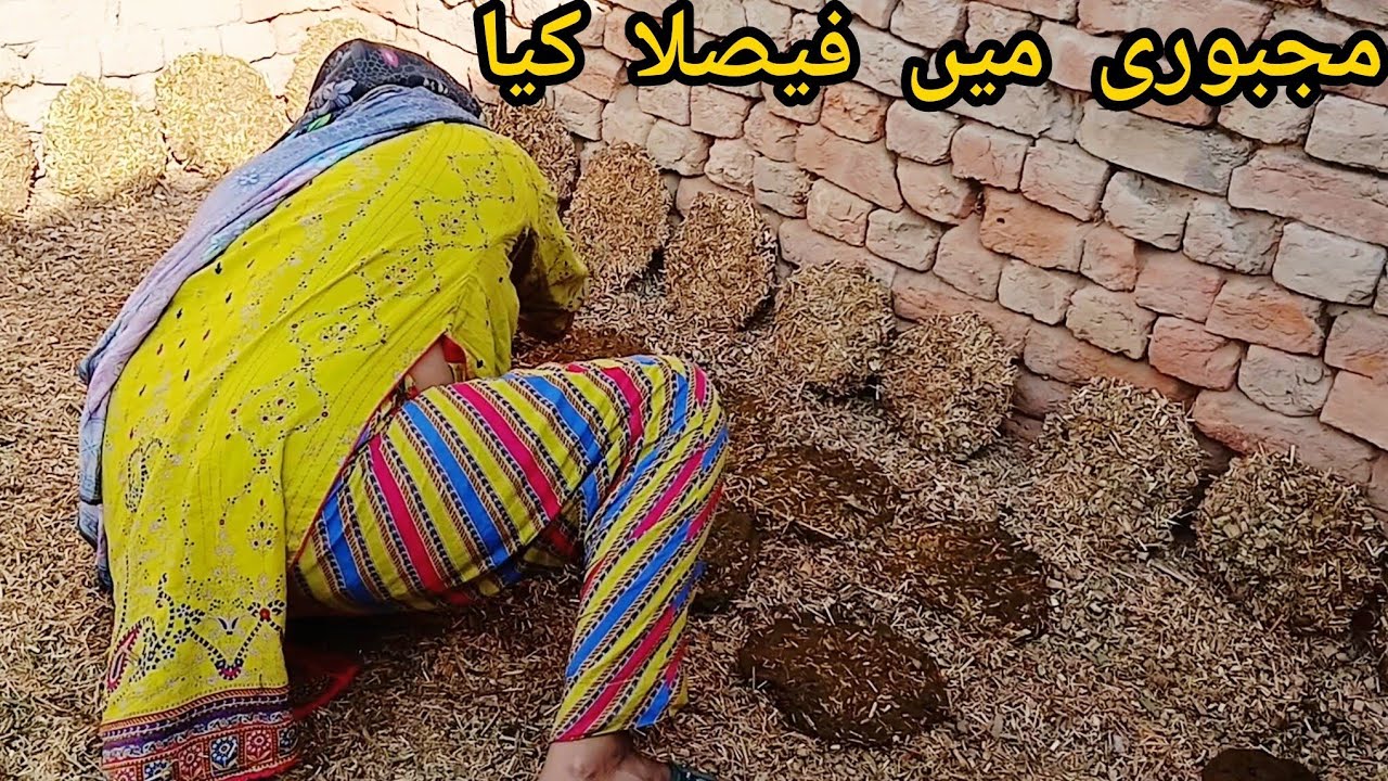 Majburi Main Ya Faisla Karna Para || Village Daily Routine || Happy Mano Family
