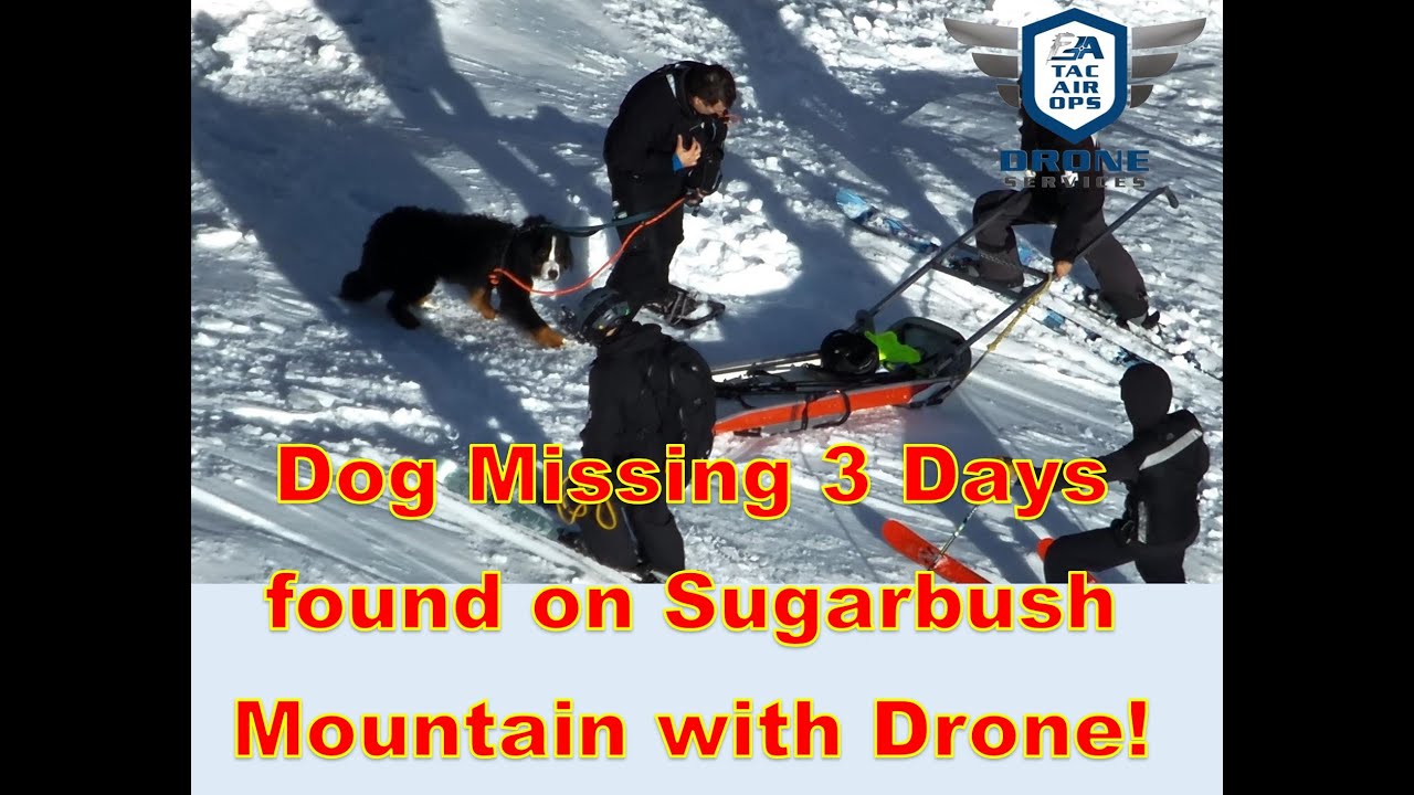 Dog missing 3 Days Found with Thermal Drone on Sugarbush MTN VT & Rescued by Large Team SAR Part 107