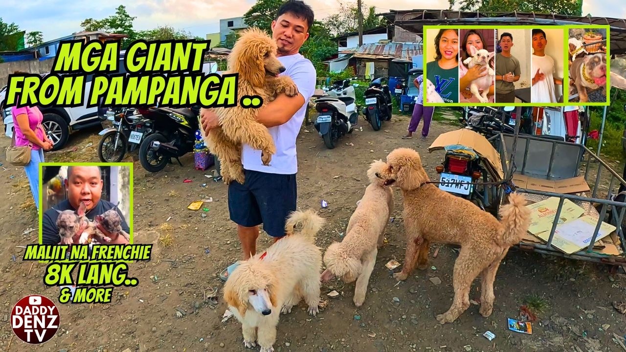 GRABE HALOS PAMIGAY ANG PRESYO NI MONCHING.. / APRIL 10 @BOCAUE PETS & LIVESTOCK MARKET