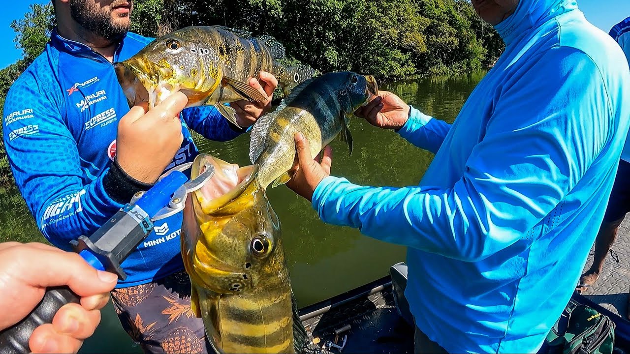 Quando acerta o ponto de pesca, TODO MUNDO pega PEIXE!! Pescaria entre amigos