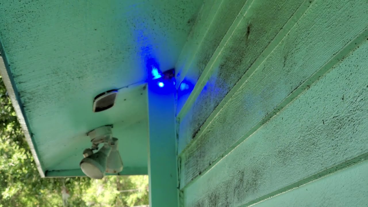 Shooting a Very Powerful Laser in to a Wasps Nest