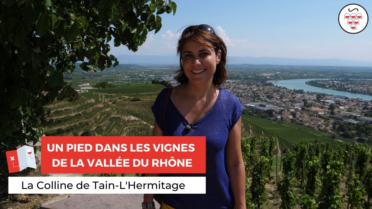 La Colline de Tain-l'Hermitage - Un pied dans les vignes de la Vallée du Rhône