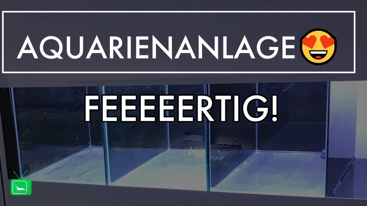 AQUARIENANLAGE | Es geht weiter! | GarnelenTv
