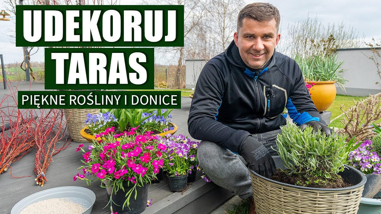 Rośliny na balkon i taras &ndash; musisz je mieć!