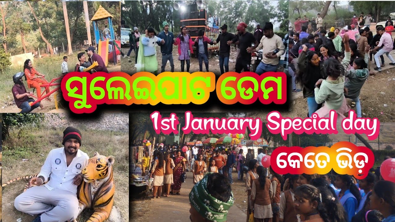 1 st January ସୁଲେଇପାଟ Picnic Spot Special Day | Rairangpur | Mayurbhanj | #picnic  @raajdailyvlog-r 