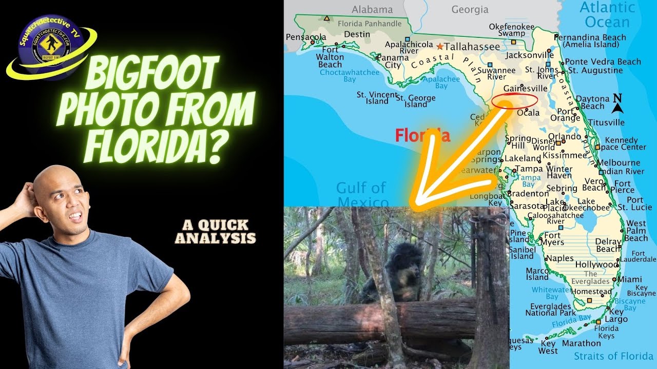 Florida Bigfoot Trail Cam Pic - Bigfoot or not?