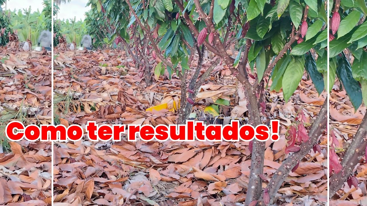 Um pouco sobre nosso trabalho!