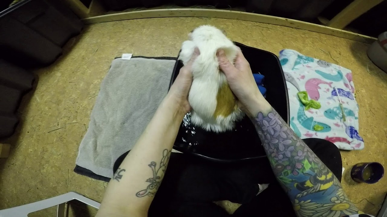 Flushing Bladder Stones Out