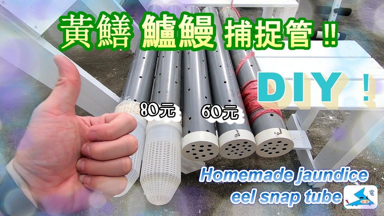自製 黃鱔&鱸鰻捕捉桶管 Homemade jaundice eel snap tube