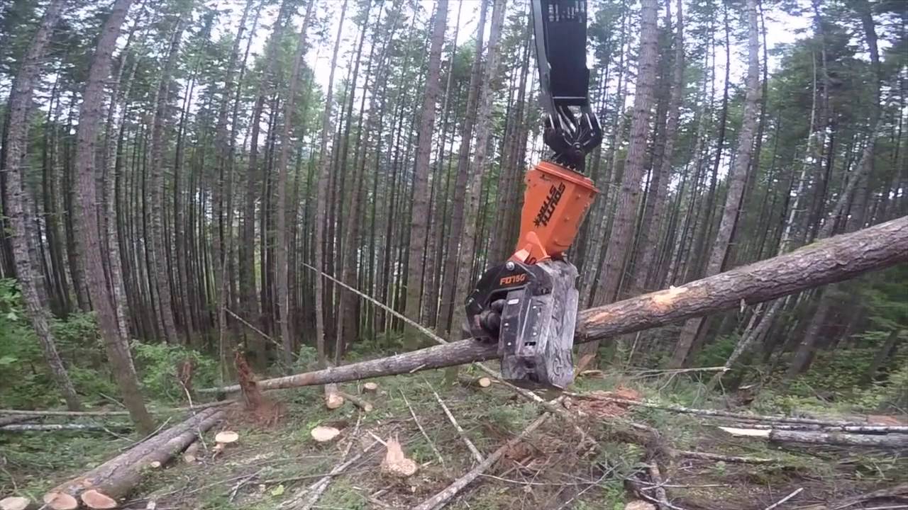 TimberPro TL765C with a SouthStar .FD750 Felling Head tithered to a Falcon Winch