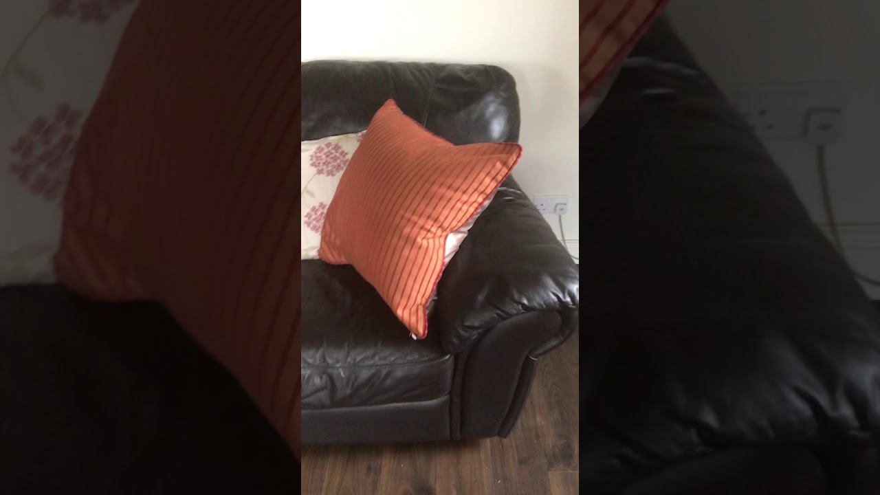 Settle in for the night