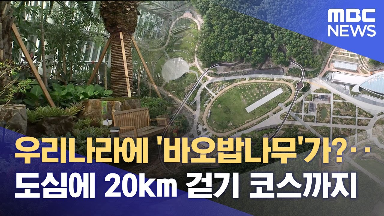 포항 3대 민간 공원 중 환호공원 첫 준공..
