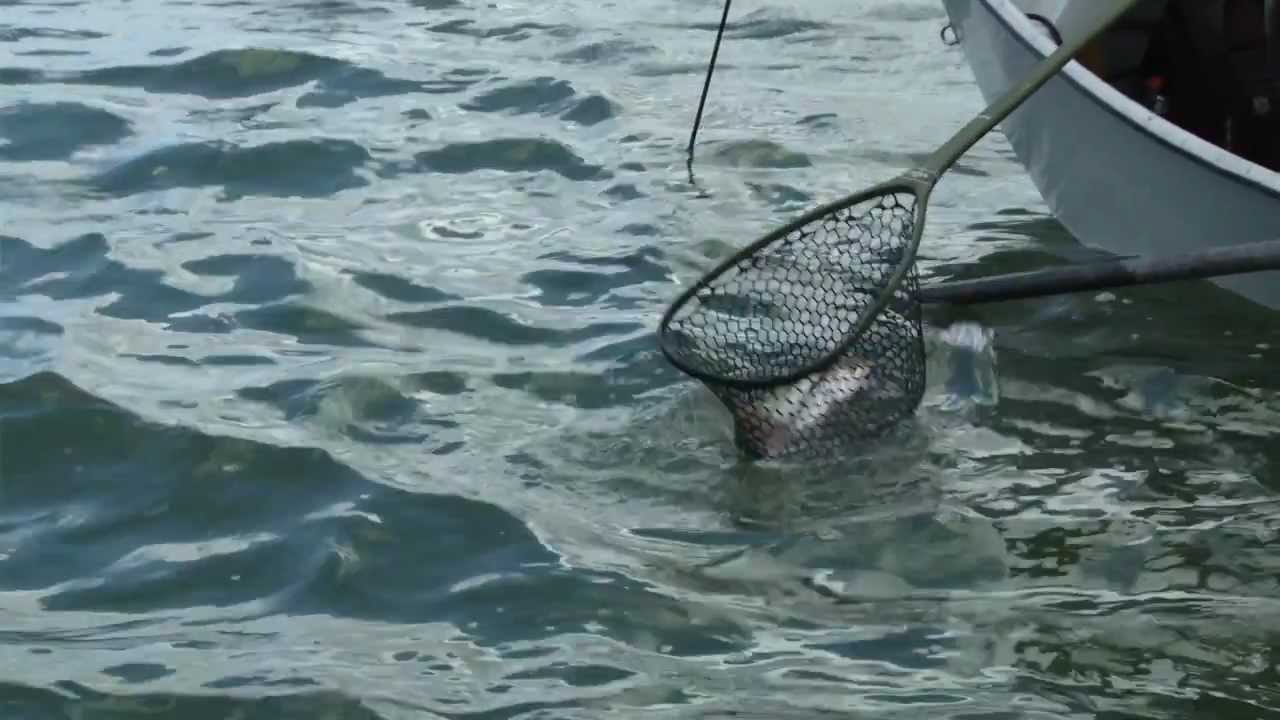 RIO Products' InTouch Sinking Fly Lines