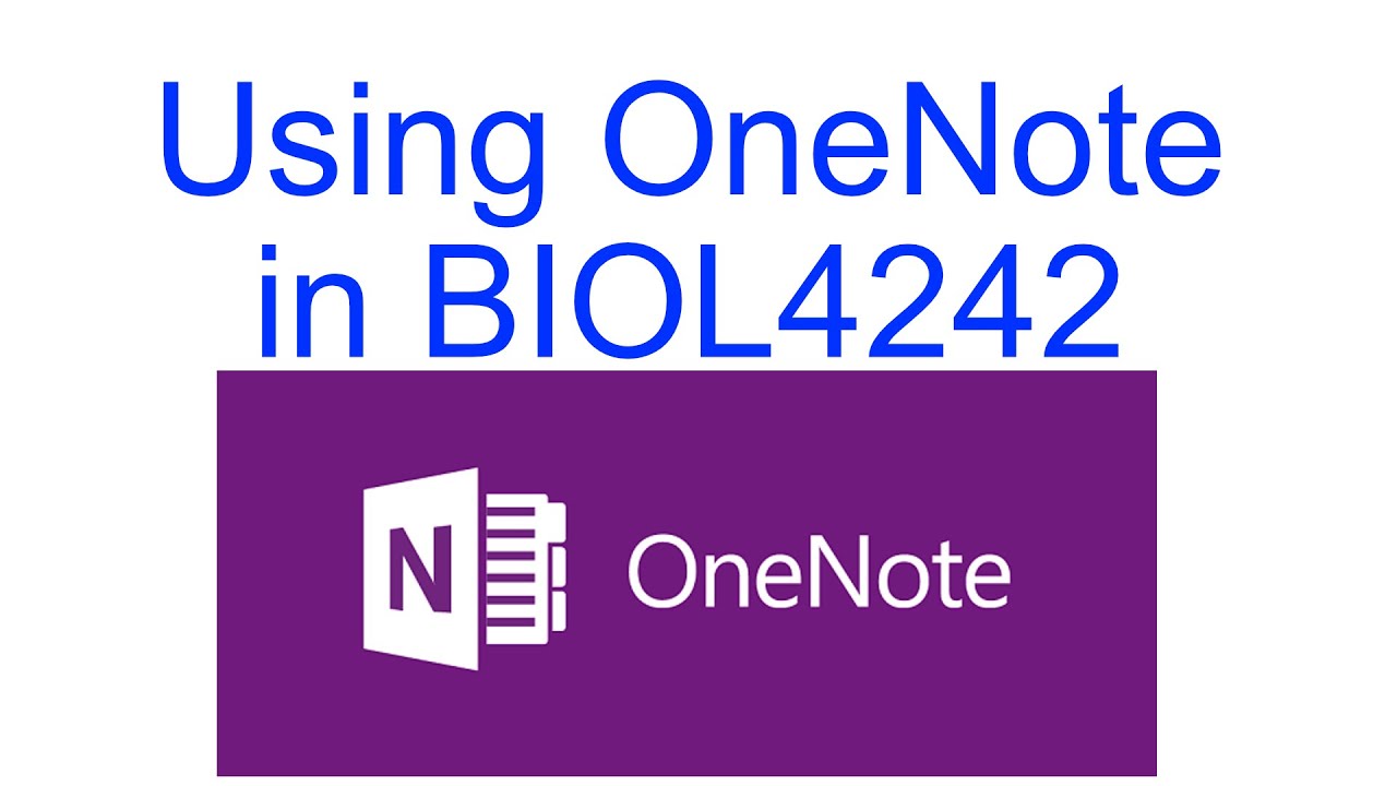Using One Note