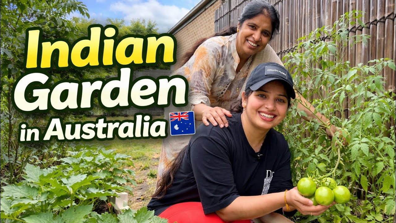 Indian Garden in Australia 🇦🇺 | Growing Desi Sabzi at Home | Family Gardening Vlog 🌿