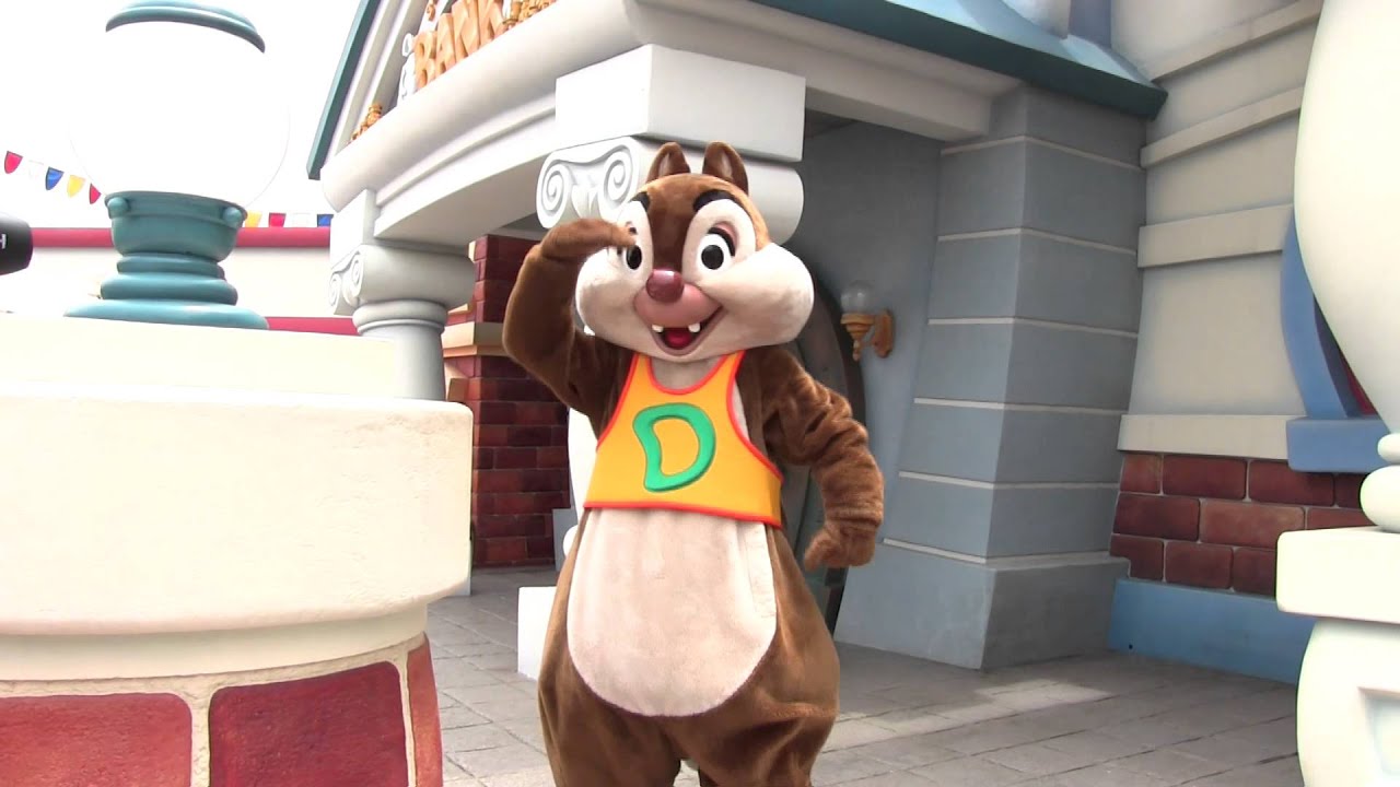 【TDL】デールに見つかっちゃったチップ