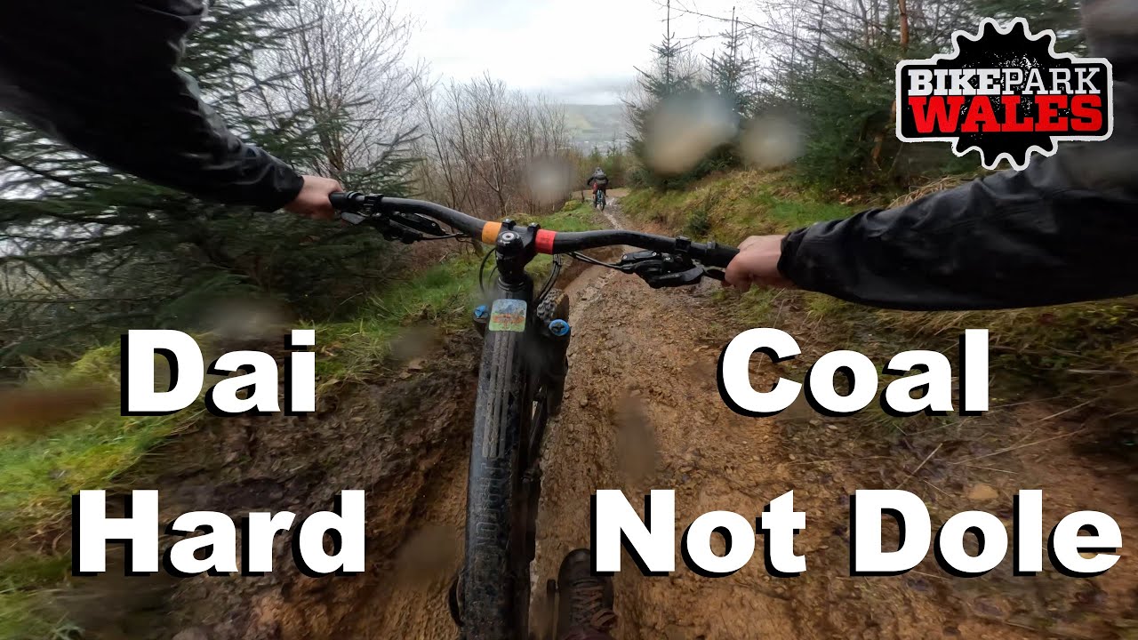 Dai Hard - Coal Not Dole - Bike Park Wales 2024