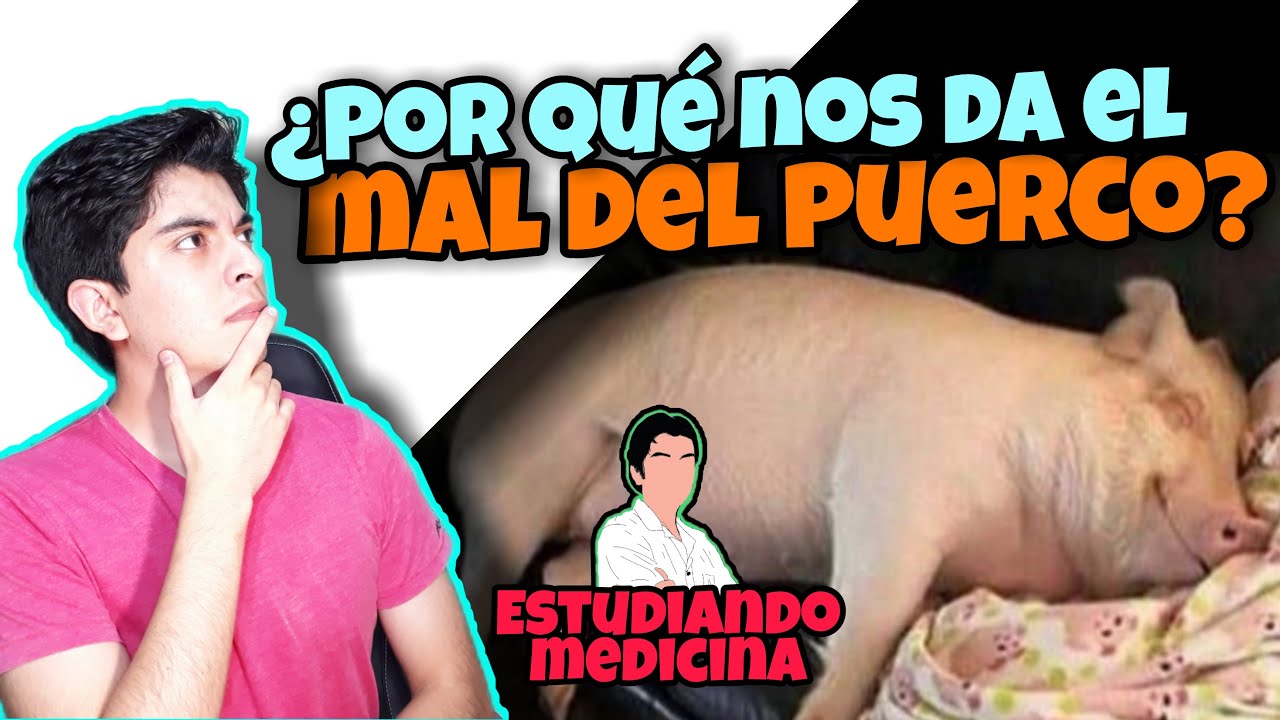&iquest;Por qu&eacute; nos da el mal del puerco? - Fisiolog&iacute;a de la somnolencia postprandial
