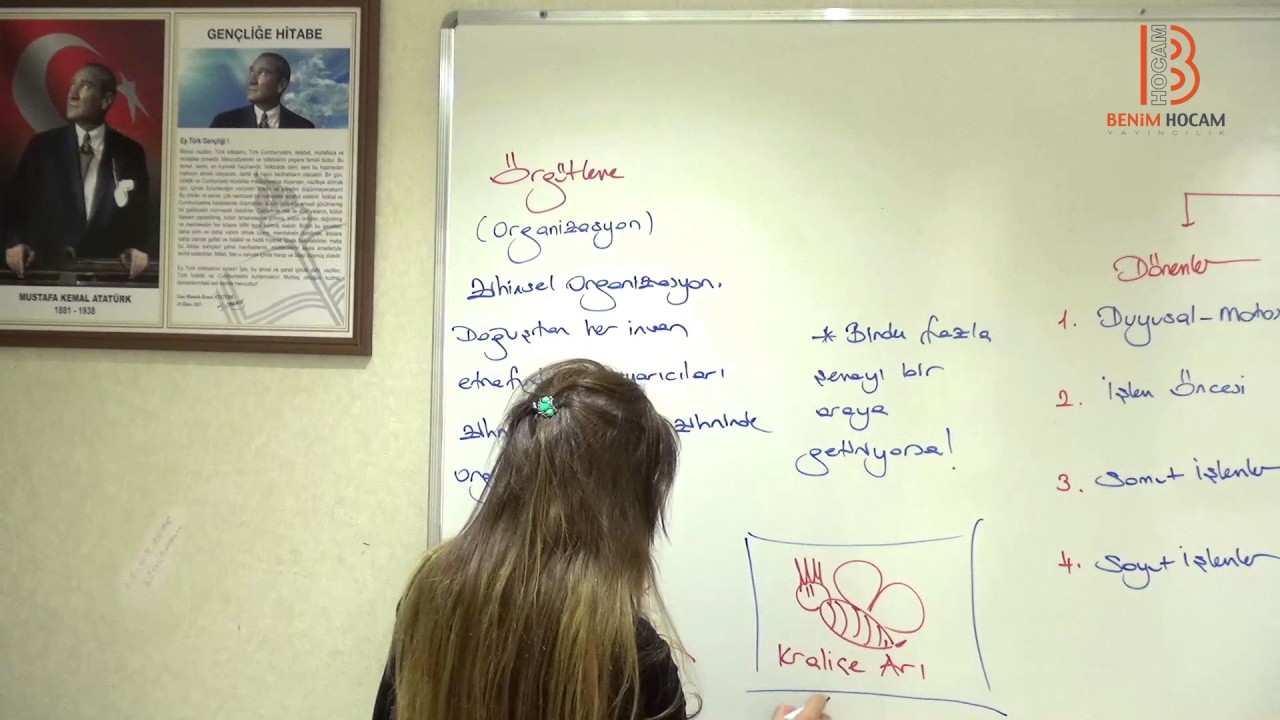 8) Piaget'in Temel Kavramları - Eğitim Bilimleri Gelişim Psikolojisi Dersi - Ayşegül Aldemir (2017)