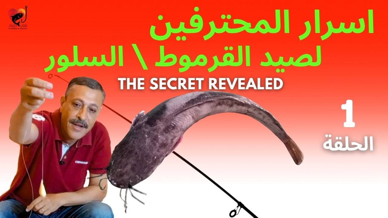 سر أفضل عجينة لصيد سمك القرموط (السلور / الجري) 🎣 | افهم السمكة عشان تصطادها 🐟