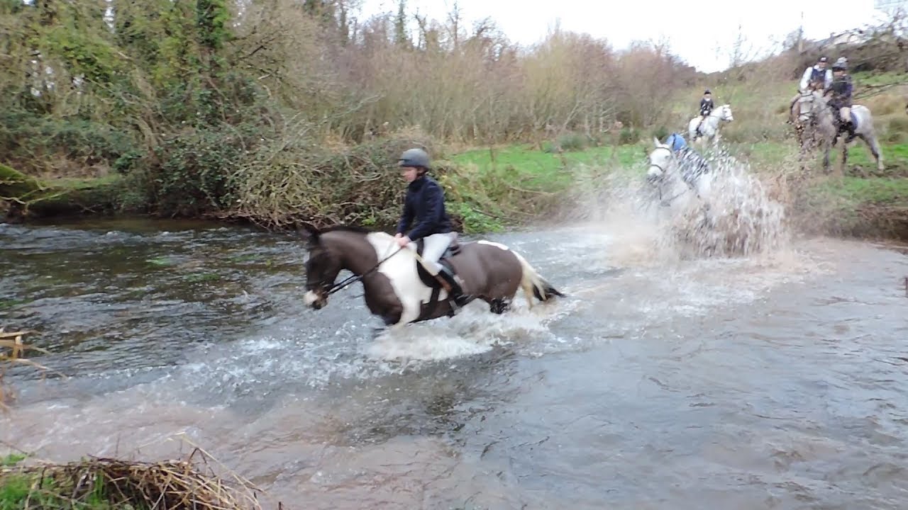 Tipperary Foxhound's Meet in Fethard  Jan 2019